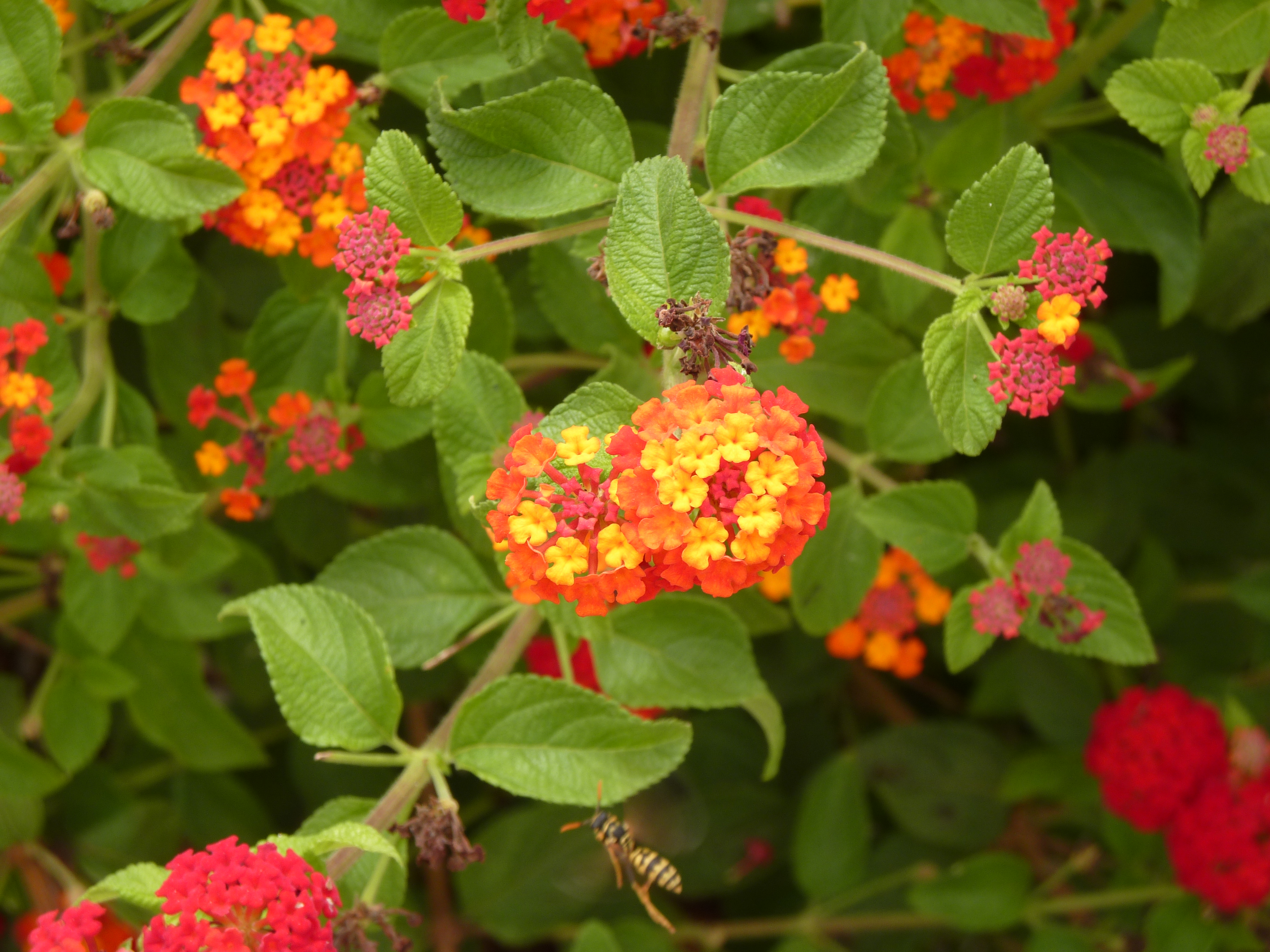 No s'ha trobat l'arxiu